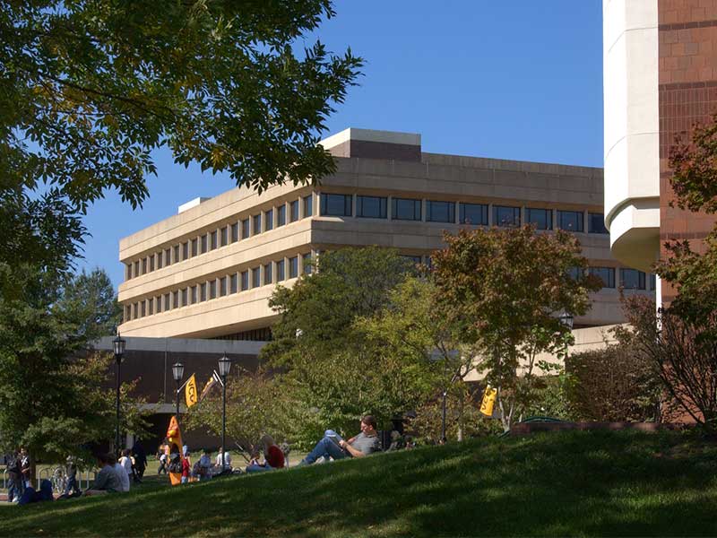 students studying on the grass surrounded by trees with a view of Grace E. Harris Hall behind them.